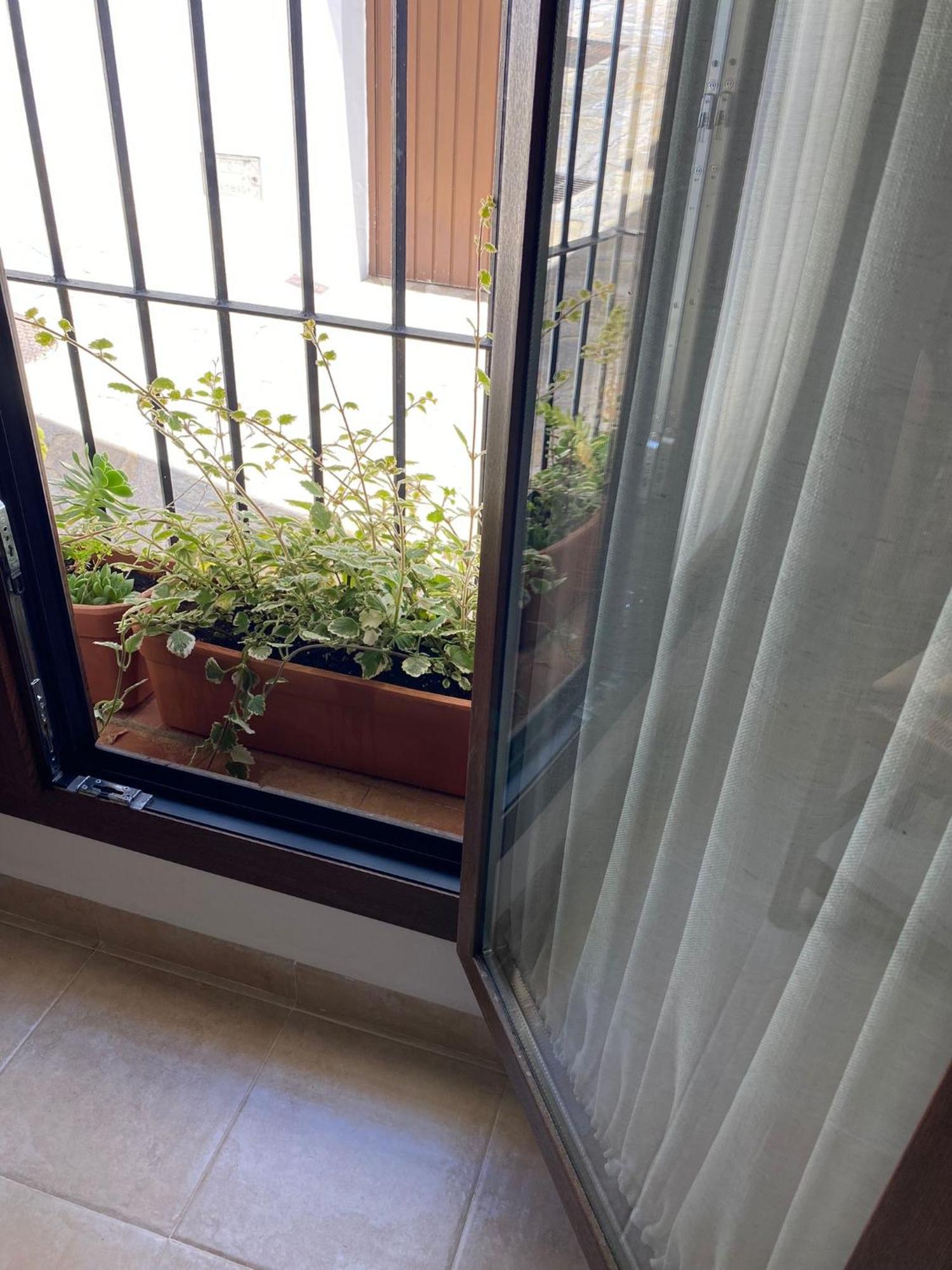 Ferienwohnung El Endrinal Grazalema Exterior foto